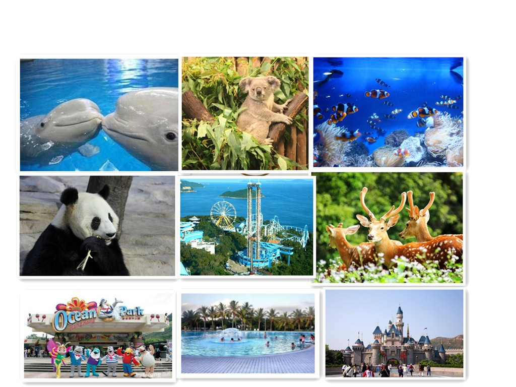 香港一地+长隆6日亲子游 迪士尼乐园+杜莎夫人蜡像馆+海洋公园+长隆野生动物园